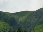 P1030433.jpg