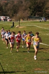 IMG_3890.jpg