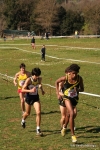 IMG_3909.jpg