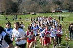 IMG_3952.jpg