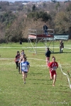 IMG_3959.jpg