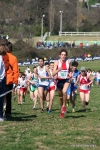 IMG_3981.jpg