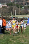 IMG_3985.jpg