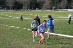 IMG_4049.jpg