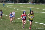 IMG_4050.jpg