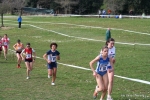 IMG_4051.jpg