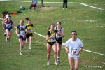 IMG_4060.jpg