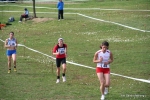 IMG_4064.jpg