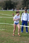 IMG_4132.jpg