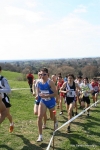 IMG_4172.jpg