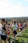 IMG_4173.jpg