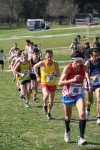 IMG_4228.jpg