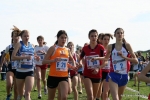 IMG_4323.jpg