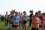 IMG_4324.jpg