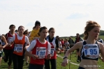 IMG_4329.jpg