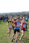 IMG_4343.jpg