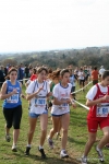 IMG_4352.jpg