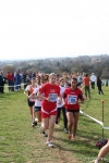 IMG_4353.jpg
