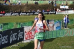 IMG_4445.jpg
