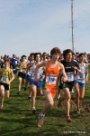IMG_4471.jpg