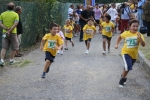 IMG_2356.jpg