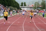 Filename=IMG_7391.jpg
Filesize=104KiB
Dimensions=1016x678
Date added=May 24, 2010 IMG_7391.jpg