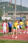Filename=IMG_7677.jpg
Filesize=104KiB
Dimensions=678x1016
Date added=May 24, 2010 IMG_7677.jpg