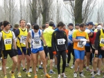Filename=campestte_bosco_v_2010_170.jpg
Filesize=100KiB
Dimensions=792x594
Date added=Feb 21, 2010 campestte_bosco_v_2010_170.jpg