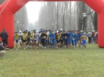 Filename=campestte_bosco_v_2010_176.jpg
Filesize=78KiB
Dimensions=792x594
Date added=Feb 21, 2010 campestte_bosco_v_2010_176.jpg