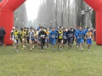 Filename=campestte_bosco_v_2010_187.jpg
Filesize=80KiB
Dimensions=792x594
Date added=Feb 21, 2010 campestte_bosco_v_2010_187.jpg