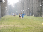 Filename=campestte_bosco_v_2010_193.jpg
Filesize=67KiB
Dimensions=792x594
Date added=Feb 21, 2010 campestte_bosco_v_2010_193.jpg