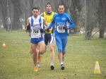 Filename=campestte_bosco_v_2010_194.jpg
Filesize=74KiB
Dimensions=792x594
Date added=Feb 21, 2010 campestte_bosco_v_2010_194.jpg