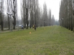 campestte_bosco_v_2010_223.jpg