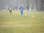 Filename=campestte_bosco_v_2010_245.jpg
Filesize=54KiB
Dimensions=792x594
Date added=Feb 21, 2010 campestte_bosco_v_2010_245.jpg