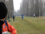 Filename=campestte_bosco_v_2010_250.jpg
Filesize=66KiB
Dimensions=792x594
Date added=Feb 21, 2010 campestte_bosco_v_2010_250.jpg