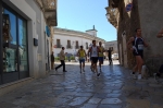 DSC_0201.jpg