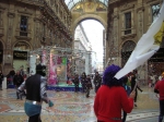 DSCN8487.jpg