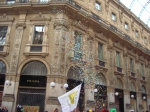 DSCN8488.jpg