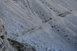 DSC_1021.jpg
