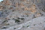 DSC_2495.jpg