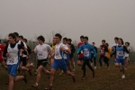 IMG_1910.jpg