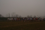IMG_2010.jpg