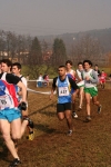 IMG_2352.jpg