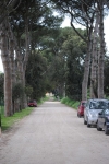 DSC_0149.jpg