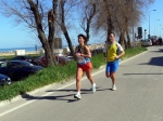 P1090546.jpg