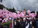 DSCF8142.jpg
