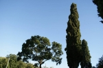 DSC00880.jpg