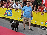 corribianco_certoma_2010_0539.jpg