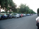 IMGP1553.jpg