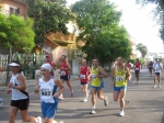to_019.jpg